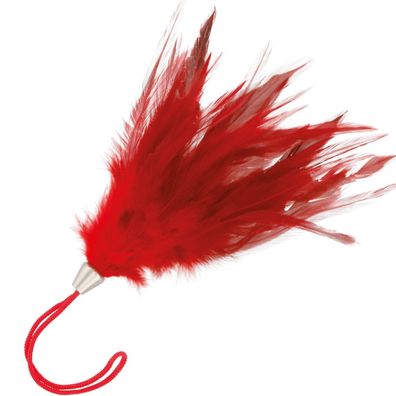 Darkness Sensations roter Stimulierstift mit Feder 20 cm
