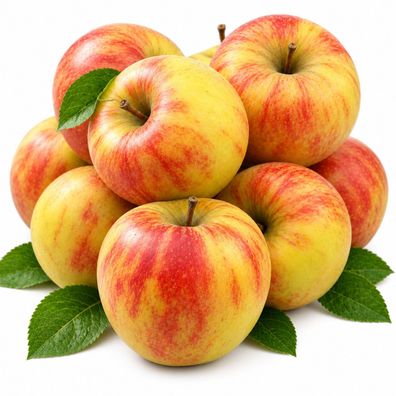 Bleichhof Äpfel Topaz - süß-säuerlich und sehr saftig (5kg)