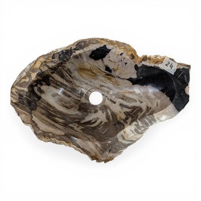 Versteinertes Holz Waschbecken #24 Versteinertem Fossiles Naturstein Steinwaschbecken
