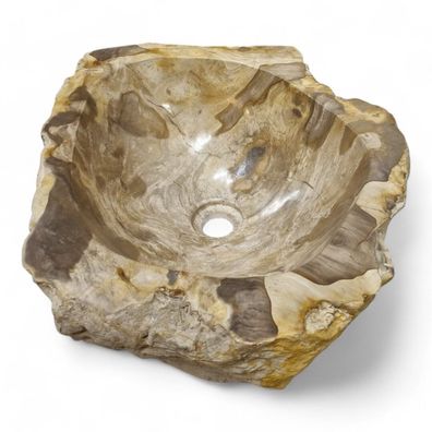 Versteinertes Holz Waschbecken #25 Versteinertem Fossiles Naturstein Steinwaschbecken