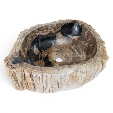 Versteinertes Holz Waschbecken #26 - Naturstein Aufsatzbecken Anthrazit Fossiles Oval