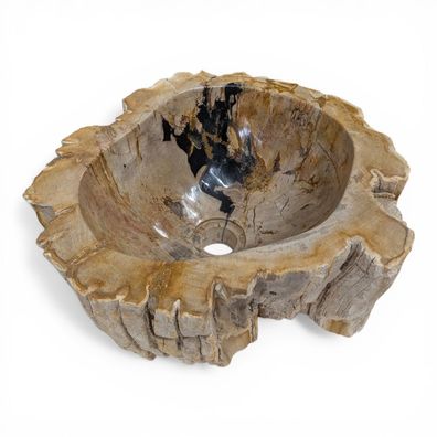 Versteinertes Holz Waschbecken #27 Versteinertem Fossiles Naturstein Steinwaschbecken