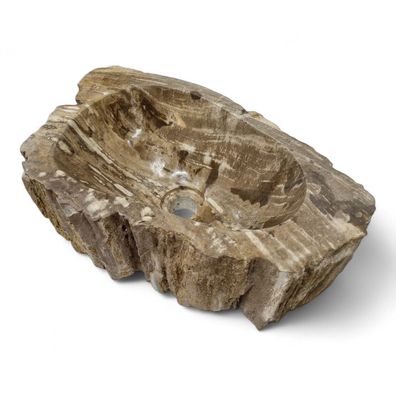 Versteinertes Holz Waschbecken #28 Versteinertem Fossiles Naturstein Steinwaschbecken
