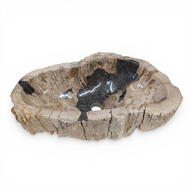 Versteinertes Holz Waschbecken #31 Versteinertem Fossiles Naturstein Steinwaschbecken