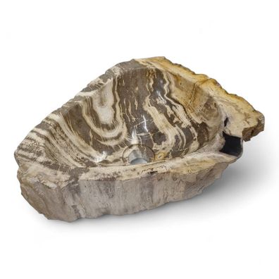 Versteinertes Holz Waschbecken #32 Versteinertem Fossiles Naturstein Steinwaschbecken