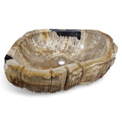 Versteinertes Holz Waschbecken XXL #35 Versteinertem Fossiles Naturstein