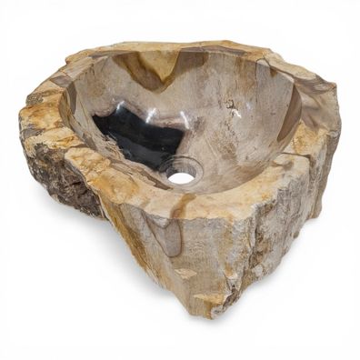 Versteinertes Holz Waschbecken #15 Versteinertem Fossiles Naturstein Steinwaschbecken
