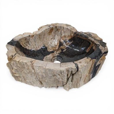 Versteinertes Holz Waschbecken #13 Versteinertem Fossiles Naturstein Steinwaschbecken