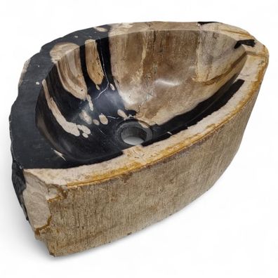 Versteinertes Holz Waschbecken #1 Versteinertem Fossiles Naturstein Steinwaschbecken