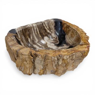 Versteinertes Holz Waschbecken #4 Versteinertem Fossiles Naturstein Steinwaschbecken