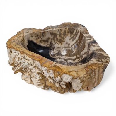 Versteinertes Holz Waschbecken #22 Versteinertem Fossiles Naturstein Steinwaschbecken