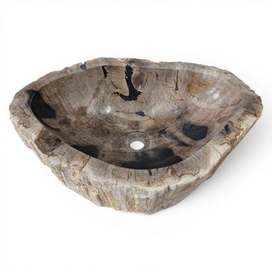 Versteinertes Holz Waschbecken #16 - Naturstein Aufsatzbecken Oval Grau Fossiles
