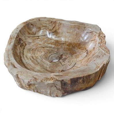 Versteinertes Holz Waschbecken #18 - Naturstein Aufsatzbecken Rund Hell Beige