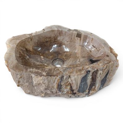 Versteinertes Holz Waschbecken #23 - Naturstein Aufsatzbecken Grau Taupe Fossiles