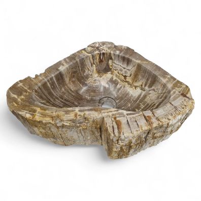 Versteinertes Holz Waschbecken #20 Versteinertem Fossiles Naturstein Steinwaschbecken