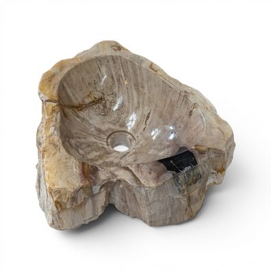 Versteinertes Holz Waschbecken #38 - Naturstein Aufsatzbecken Hell Beige Fossiles