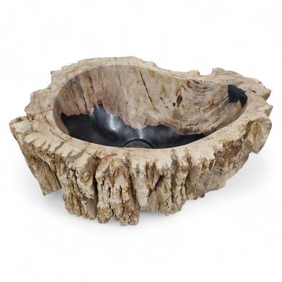 Versteinertes Holz Waschbecken #41 Versteinertem Fossiles Naturstein Steinwaschbecken