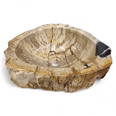 Versteinertes Holz Waschbecken #42 Versteinertem Fossiles Naturstein Steinwaschbecken