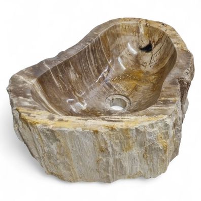 Versteinertes Holz Waschbecken #44 Versteinertem Fossiles Naturstein Steinwaschbecken