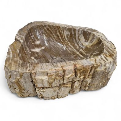 Versteinertes Holz Waschbecken #45 Versteinertem Fossiles Naturstein Steinwaschbecken