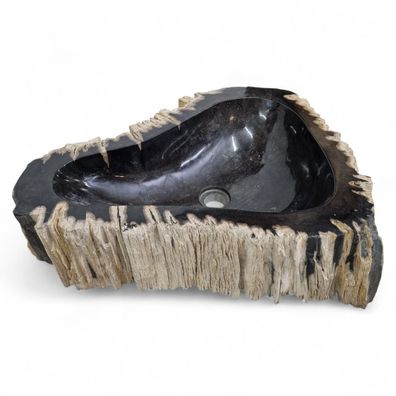 Versteinertes Holz Waschbecken XXL #47 Versteinertem Fossiles Naturstein
