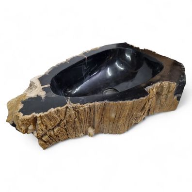 Versteinertes Holz Waschbecken XXL #48 Versteinertem Fossiles Naturstein