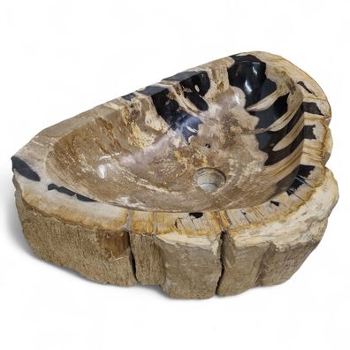 Versteinertes Holz Waschbecken XXL #49 Versteinertem Fossiles Naturstein