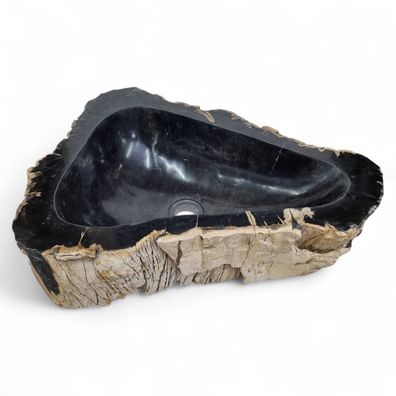 Versteinertes Holz Waschbecken XXL #50 Versteinertem Fossiles Naturstein