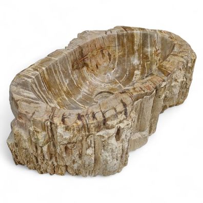Versteinertes Holz Waschbecken #52 Versteinertem Fossiles Naturstein Steinwaschbecken