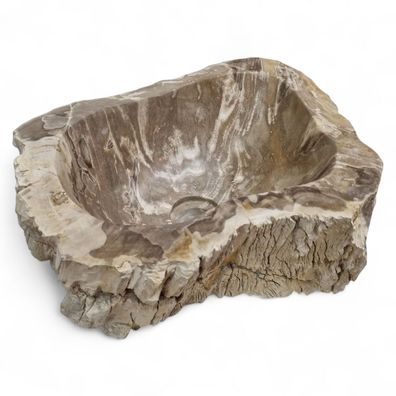 Versteinertes Holz Waschbecken #53 Versteinertem Fossiles Naturstein Steinwaschbecken
