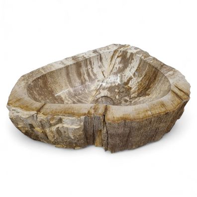 Versteinertes Holz Waschbecken #57 Versteinertem Fossiles Naturstein Steinwaschbecken