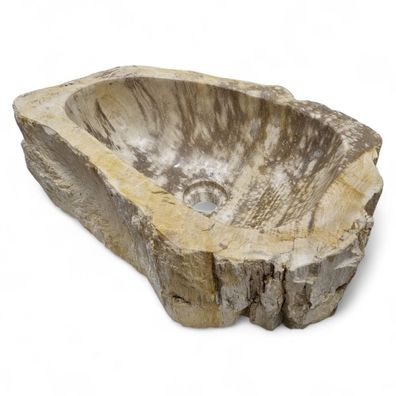 Versteinertes Holz Waschbecken - Sand-Beige, ca. 50 cm, Indonesien Versteinertem Auf