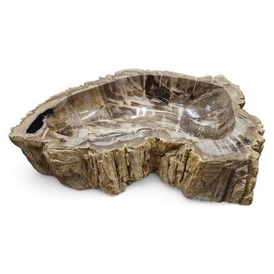 Versteinertes Holz Waschbecken XXL #62 Versteinertem Fossiles Naturstein