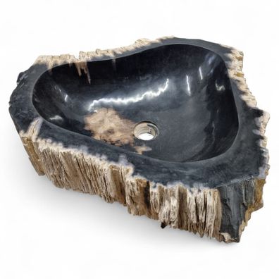 Versteinertes Holz Waschbecken XXL #63 Versteinertem Fossiles Naturstein
