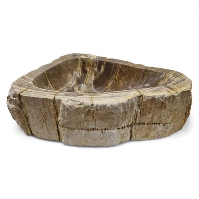 Versteinertes Holz Waschbecken - Mittelbraun, ca. 50 cm, Indonesien Versteinertem Auf