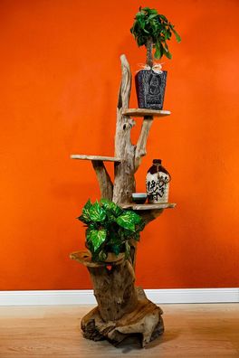 Wurzelholz Blumentreppe TONLE SAP II - Teak-Wurzel, drei Ebenen Holz Blumenständer