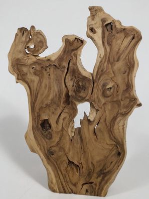 XXL Tischplatte Suar Holz mit Baumkante / Suarholz Wandbild Massivholz Esstisch Diy