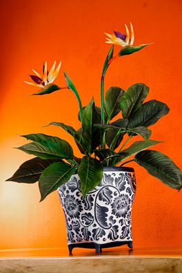Bambus Reiskorb Übertopf Reistopf Blumentopf Dekoration