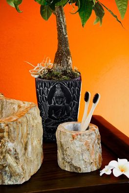 Zahnputzbecher Versteinertes Holz Naturstein Stein Fossil Badezimmer Badaccessoires