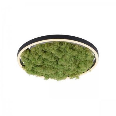 JUST LIGHT 15391-66 GREEN RITUS LED Deckenleuchte Moos 40cm