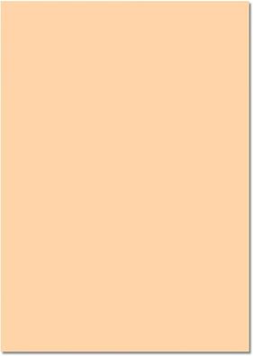 folia 61/25 10 Fotokarton 300g/m², 50x70cm chamois 25 Stück