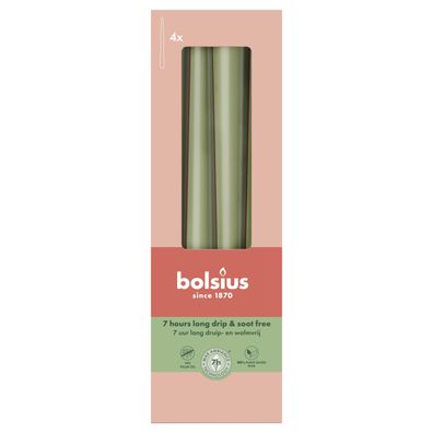 Bolsius Spitzkerzen 4er Karton 411575