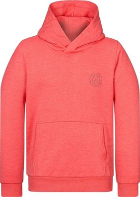 Naketano Hoodie Theo's Lieblingspulli 2400-0002
