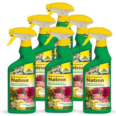 6 x Neudorff BioKraft® Grundstoff Natron AF, 500 ml