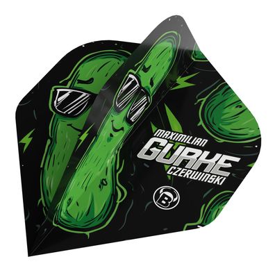 BULL'S Metrixx Flights Max Czerwinski / 1 Satz