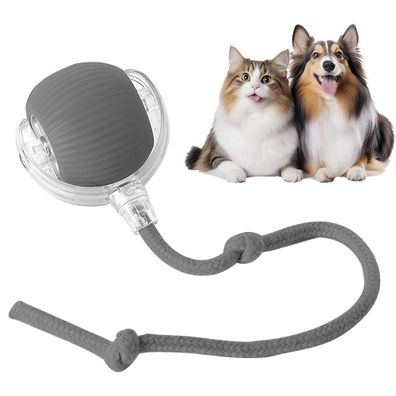 Interaktives Katzenspielzeug - elektrischer Katzenball - USB-aufladbar, drei Modi