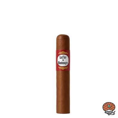 La Flor de Montenegro Petit Edmundo Zigarren Costa Rica