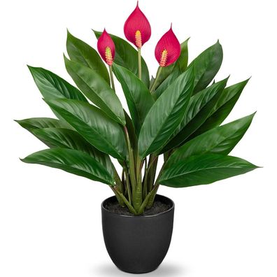 Kunstpflanze Calathea Buschig 22 Blätter Kunststofftopf Höhe 43cm Grün