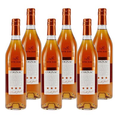 Comte Joseph Cognac (6 x 0,7L)