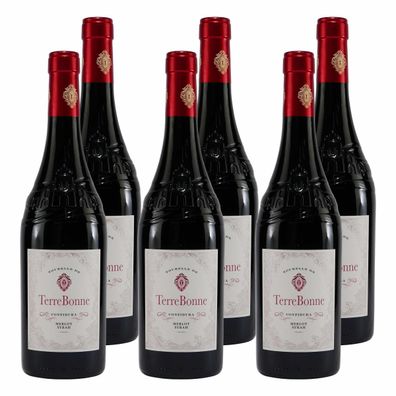 Terre Bonne Merlot Syrah IGP -halbtrocken- (6 x 0,75L)